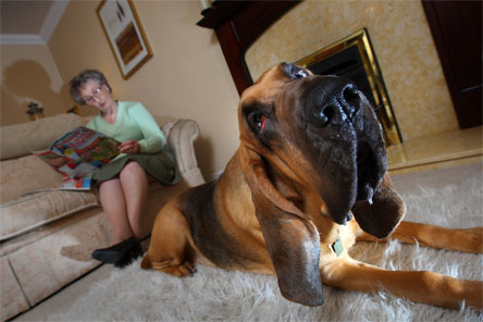 Smell gas? Woman sits in her house with her dog
